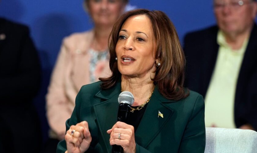 Kamala Harris makes casual weed comment in election stress conversation