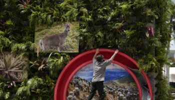 COP16 : « Des politiques climatiques peuvent s’avérer néfastes pour la biodiversité »