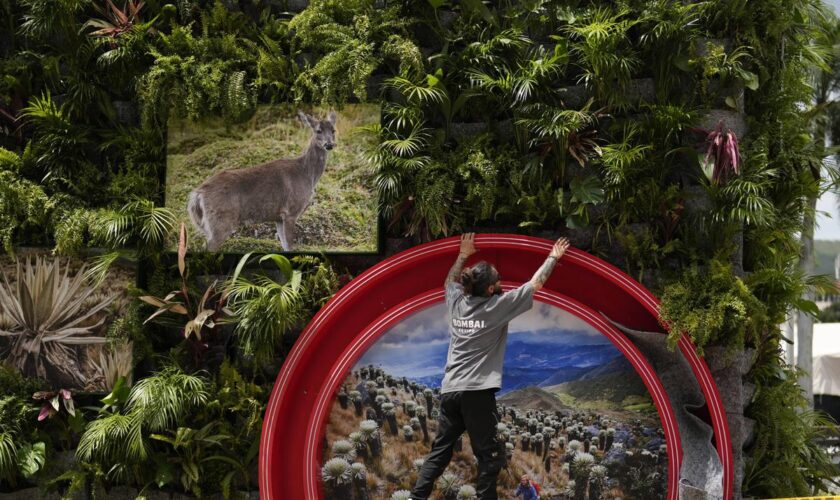 COP16 : « Des politiques climatiques peuvent s’avérer néfastes pour la biodiversité »