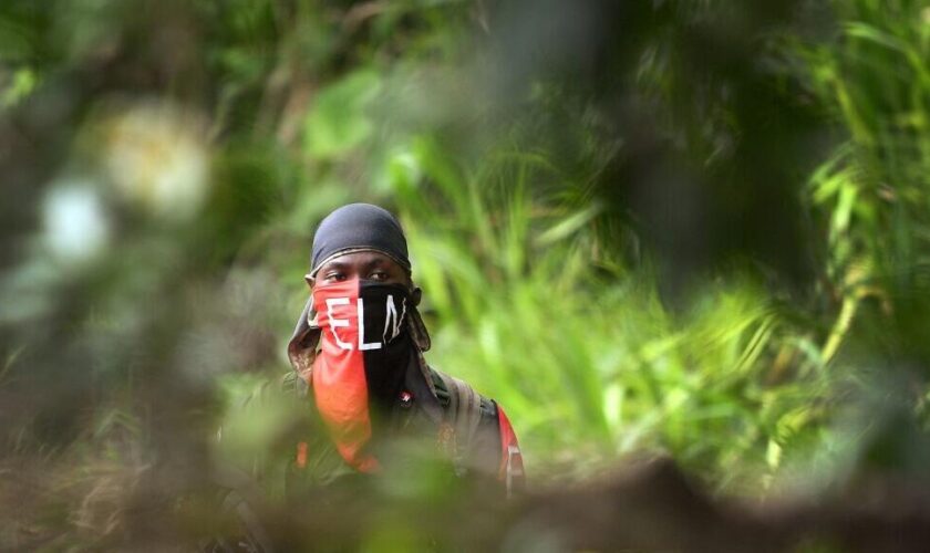 Quelque 361 défenseurs de l'environnement ont été assassinés en six ans en Colombie