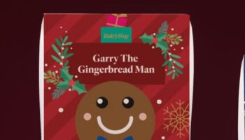 Aldi fans outraged by new Christmas chocolate that goes 'way too far'