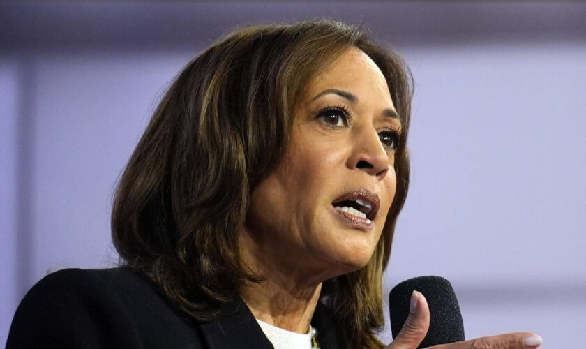 Kamala Harris : sondages, programme... des résultats très serrés et une fin de campagne décisive