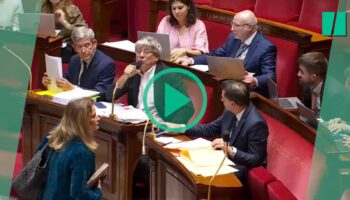 Budget 2025 : alors que les débats s'éternisent à l'Assemblée nationale, les députés s'impatientent