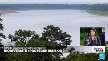 COP16: Préserver 30% des terres et des mers mais où?