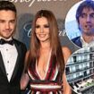 How Liam Payne came to rely on an Argentinian friend who helped him back to his Buenos Aires hotel room, reveals ALISON BOSHOFF