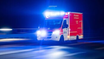 Der Rettungsdienst bringt beide Verletzte zur Behandlung in eine Klinik. (Symbolbild) Foto: Marcel Kusch/dpa