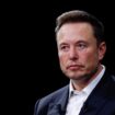 Wall Strett Journal: Elon Musk soll seit Jahren direkten Kontakt zu Putin haben