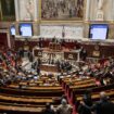 Budget 2025 : les députés votent pour un nouvel impôt sur le patrimoine des milliardaires