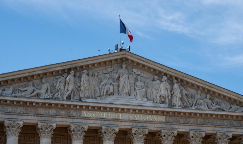 Ritchy Thibault, le collaborateur de la députée LFI Ersilia Soudais, interdit d’accès à l’Assemblée