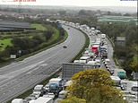 Drivers trapped on M5 for hours in four mile queues after lorry inferno sends black smoke billowing over motorway