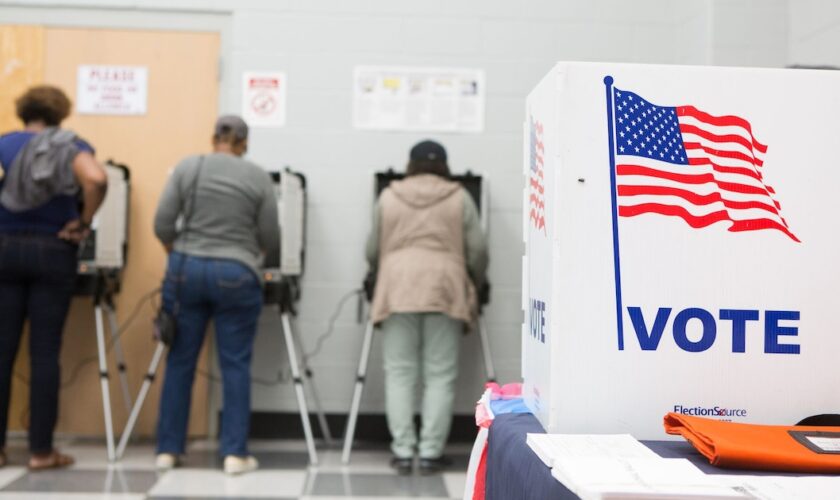 Des électeurs américains lors du vote anticipé pour les élections de mi-mandat à Atlanta, le 18 octobre 2018 en Géorgie