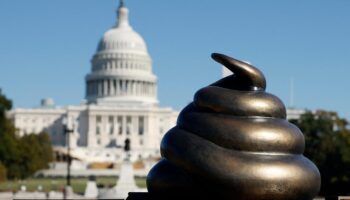 Une statue se moquant des émeutiers du Capitole a été installée à Washington