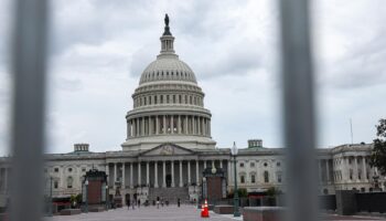 Aux États-Unis, à 10 jours de la présidentielle, une crotte en bronze installée devant le Capitole