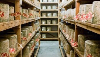 Luxury Cheddar cheese worth more than £300,000 was stolen from Neil's Yard Dairy in London. Pic: Neil's Yard