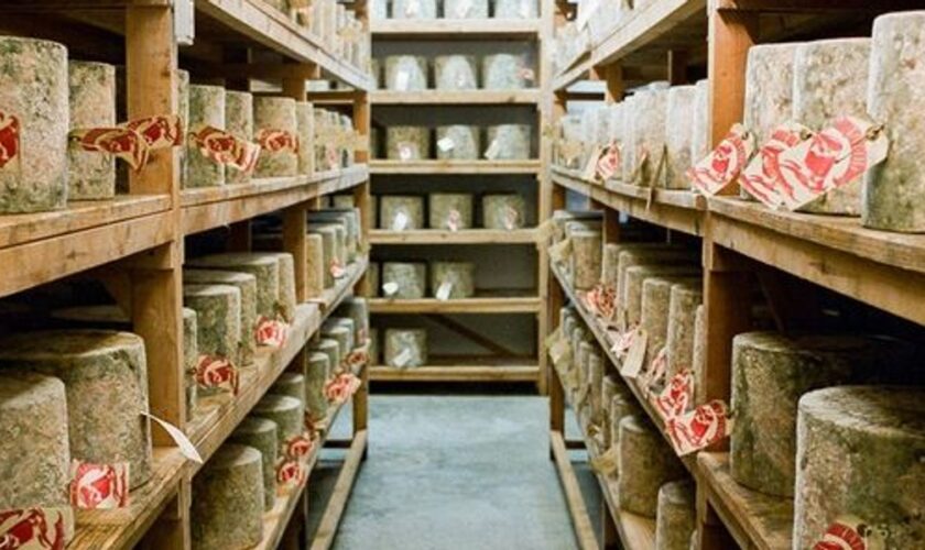 Luxury Cheddar cheese worth more than £300,000 was stolen from Neil's Yard Dairy in London. Pic: Neil's Yard