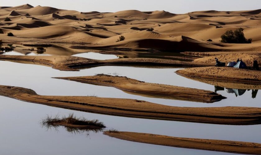 Marokko: Regenfälle überschwemmen Sahara-Wüste