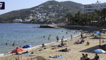 Ibiza: Hat der Koch wirklich den Gast verprügelt?