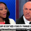 Kevin O'Leary clashes with CNN panel, says Democrats 'circumvented democracy' by selecting Harris