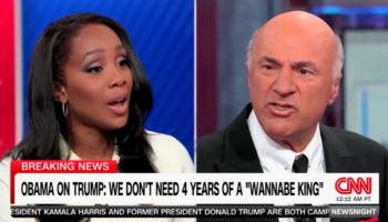 Kevin O'Leary clashes with CNN panel, says Democrats 'circumvented democracy' by selecting Harris