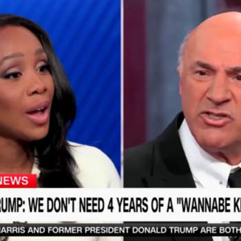 Kevin O'Leary clashes with CNN panel, says Democrats 'circumvented democracy' by selecting Harris