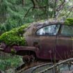 En Suède, une casse automobile aux airs d’apocalypse