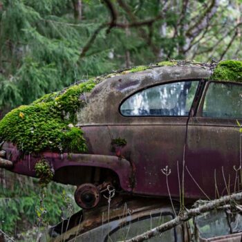 En Suède, une casse automobile aux airs d’apocalypse