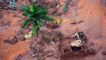 Schlammkatastrophe in Brasilien: Unternehmen müssen 28 Milliarden Euro für Umweltkatastrophe zahlen