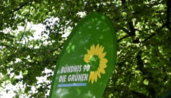 Ehemalige Junggrüne positionieren sich – Politik für die „Vergessenen“ machen