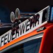 Rund 135 Feuerwehrleute mit zehn Löschfahrzeugen waren laut dem Feuerwehrsprecher im Einsatz. (Symbolbild) Foto: Marijan Murat/d