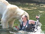 Moments from being ripped to pieces by polar bears... during trip to the zoo: Woman's miracle survival after jumping in 'to swim' with the deadly animals, sparking desperate rescue as beast gnawed on her