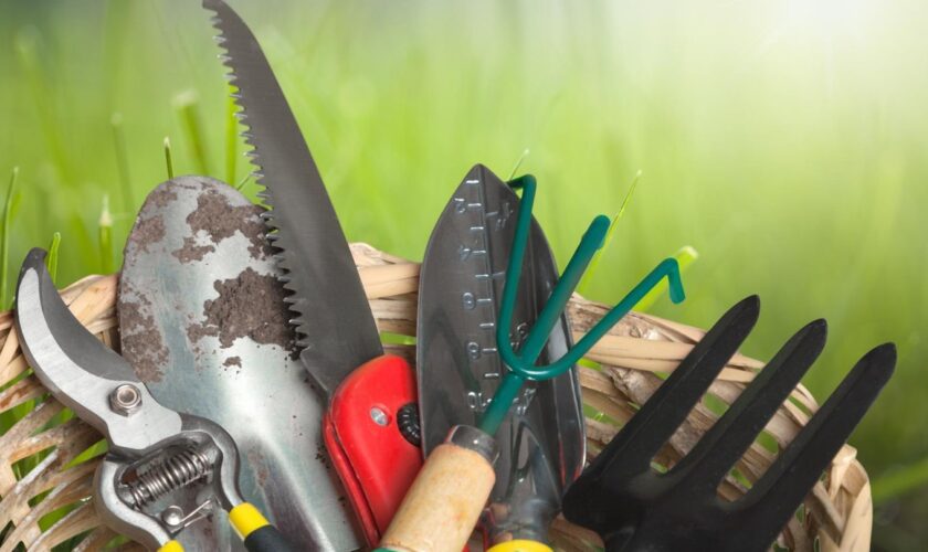 Gartenwerkzeug Sets: Fünf Gartenwerkzeuge liegen in einem Rattankörbchen auf der Wiese