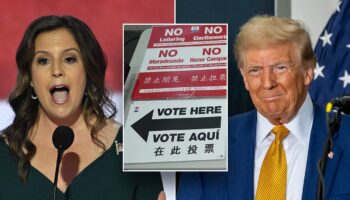 Trump, Stefanik campaign for vulnerable NY Republicans as Big Apple kicks off early voting