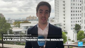 Législatives au Japon : la majorité du Premier ministre menacée