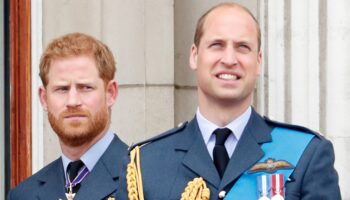 Prince William publicly mentions Prince Harry for first time in recent memory while discussing childhood