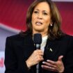 WATCH: Undecided voters in Pennsylvania associate these words with Kamala Harris