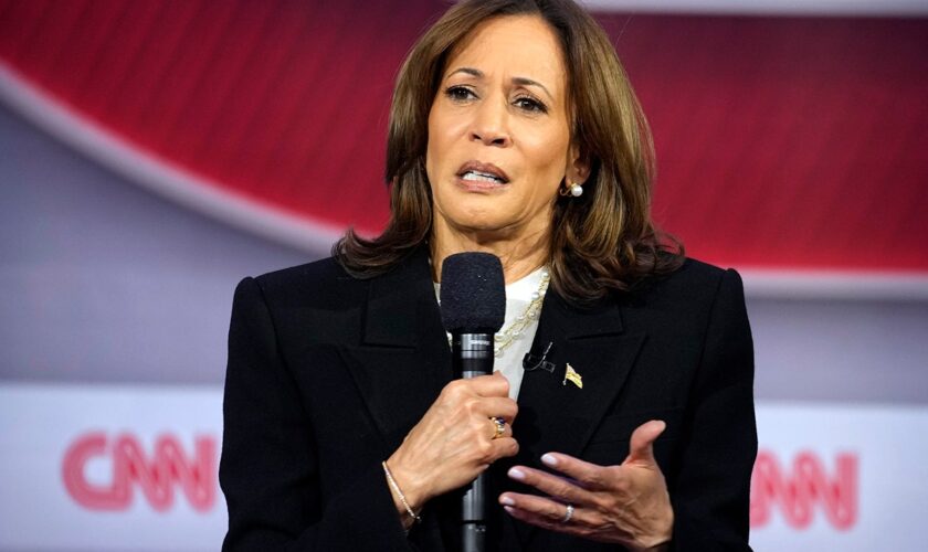 WATCH: Undecided voters in Pennsylvania associate these words with Kamala Harris