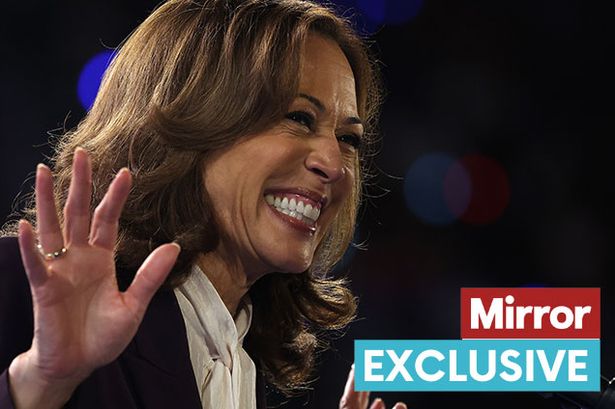 Kamala Harris 'needs more than Taylor Swift and Beyonce' to help her become US President