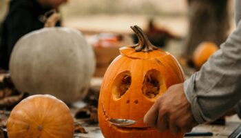 How to make sure your carved pumpkins last until Halloween