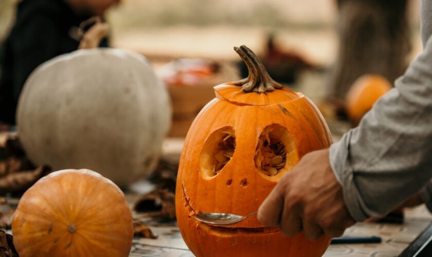 How to make sure your carved pumpkins last until Halloween