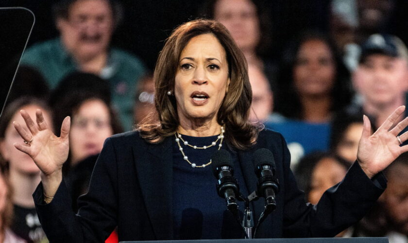 Kamala Harris : des résultats très serrés dans les sondages... Une victoire encore possible ?