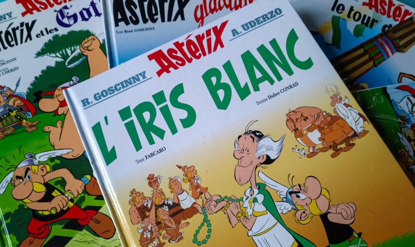 « Astérix » va revenir avec Fabcaro au scénario en 2025 (mais on ne connaît pas encore le titre)