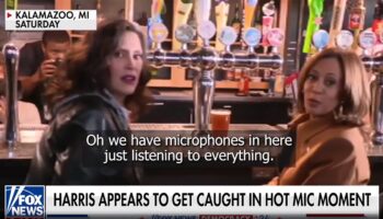 Harris caught on hot mic admitting her campaign is struggling with male voters