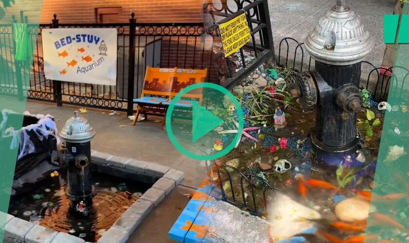 À Brooklyn, l’aquarium de Bed-Stuy installé en pleine rue a été remplacé par du béton