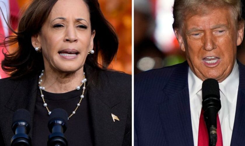 Das Rennen zwischen Kamala Harris und Donald Trump ist laut Umfragen völlig offen. Foto: Uncredited/AP