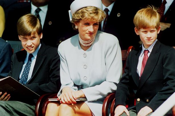 Princess Diana would be furious Harry left William to pursue her legacy alone, expert says