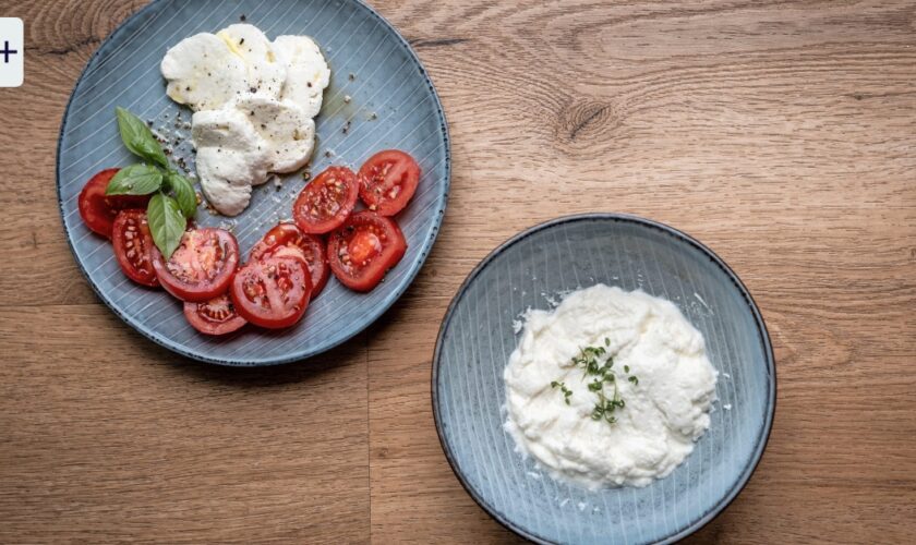 Käse selber machen: Und in einem Jahr ist mein erster Cheddar fertig