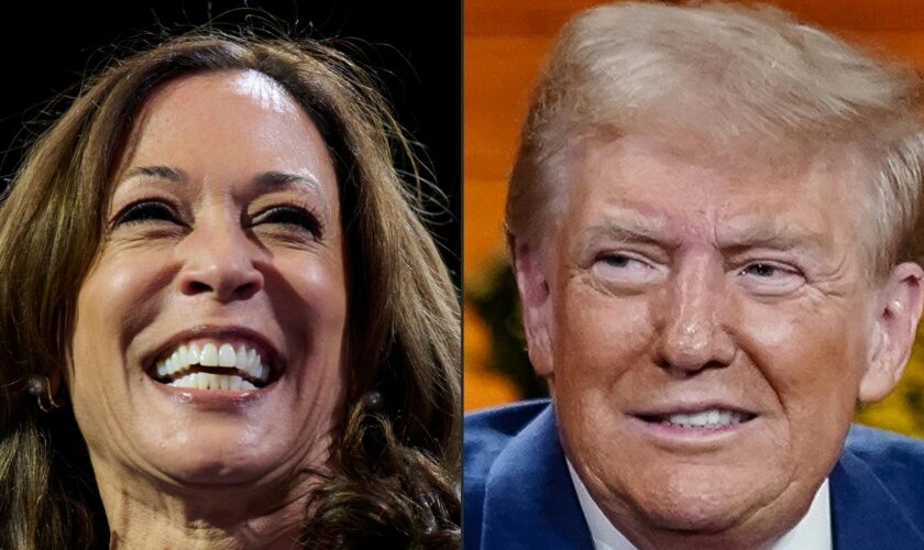 Trump ou Harris ? Ce que disent les sondages à une semaine de la présidentielle américaine