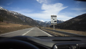 Radars automatiques : le gouvernement veut se servir de l’IA pour flasher trois nouvelles infractions