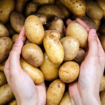 Vos pommes de terre se conserveront six mois si vous les rangez dans cet endroit surprenant