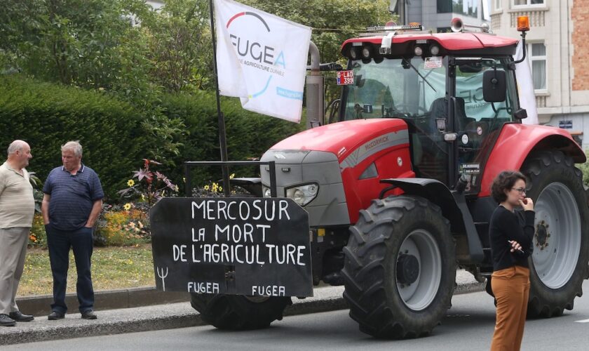 Des fermiers belges manifestent contre l'accord de libre-échange entre l'UE et le Mercosur devant le siège de la Commission européenne à Bruxelles, le 11 juillet 2019